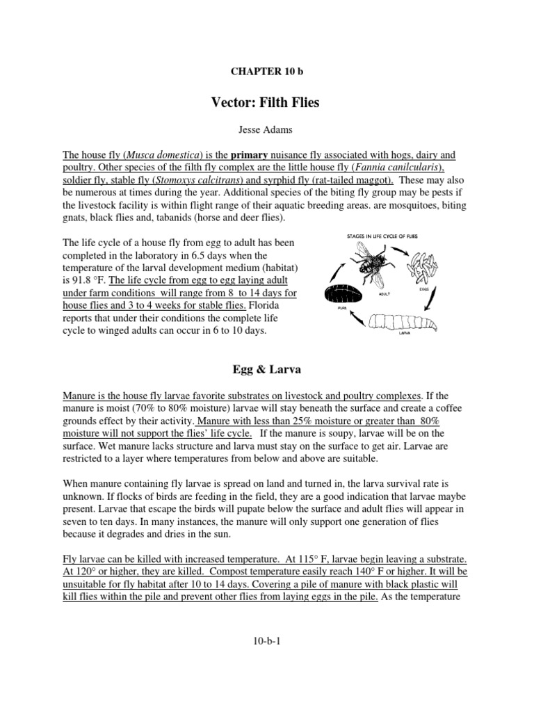 Fly Control Scudder Grid | PDF | Fly | Pest (Organism)