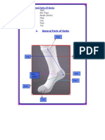 General Parts of Socks Explained