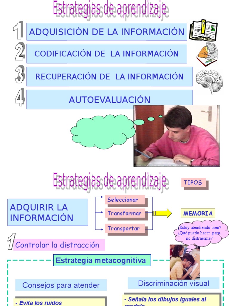 Estrategias Cognitivas y Metacognitivas 3 | PDF | Anfibio | Plantas