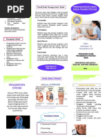 Satuan Acara Penyuluhan Stroke