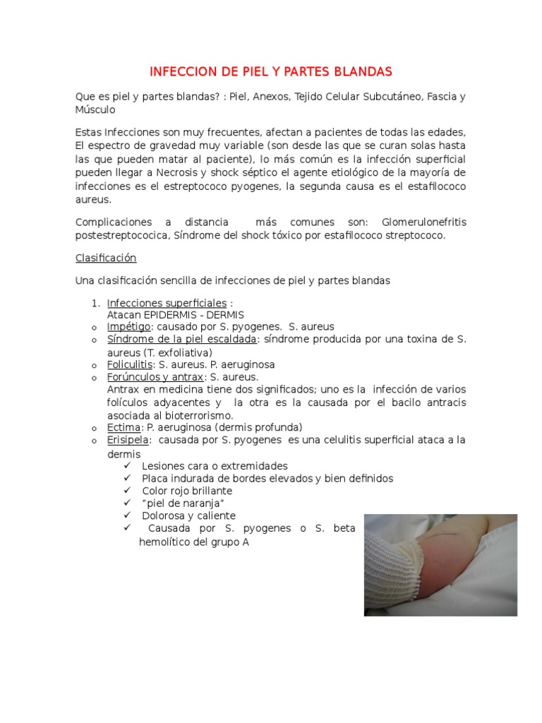Infeccion De Piel Y Partes Blandas Pdf Citocina Microbiología