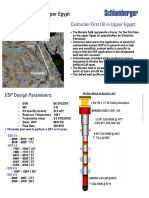 ESP WellTest Success Story