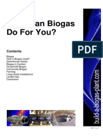 Biogas