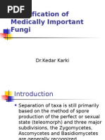 Download Identification of Medically Important Fungi by DrKedar Karki MVScPreventive VetMedicine CLSU Philippines SN3062658 doc pdf