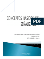 Conceptos B Sicos Se Alizaci N v2013 PDF