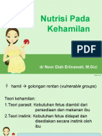 Nutrisi Kehamilan