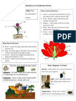 Science - Plant Poster