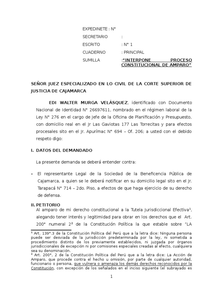Demanda de Amparo por Derecho de Propiedad | PDF | Ley procesal ...