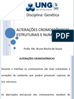 6) Alterações Cromossômicas Estruturais e Numéricas (II)
