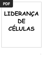 lideranca_apostila