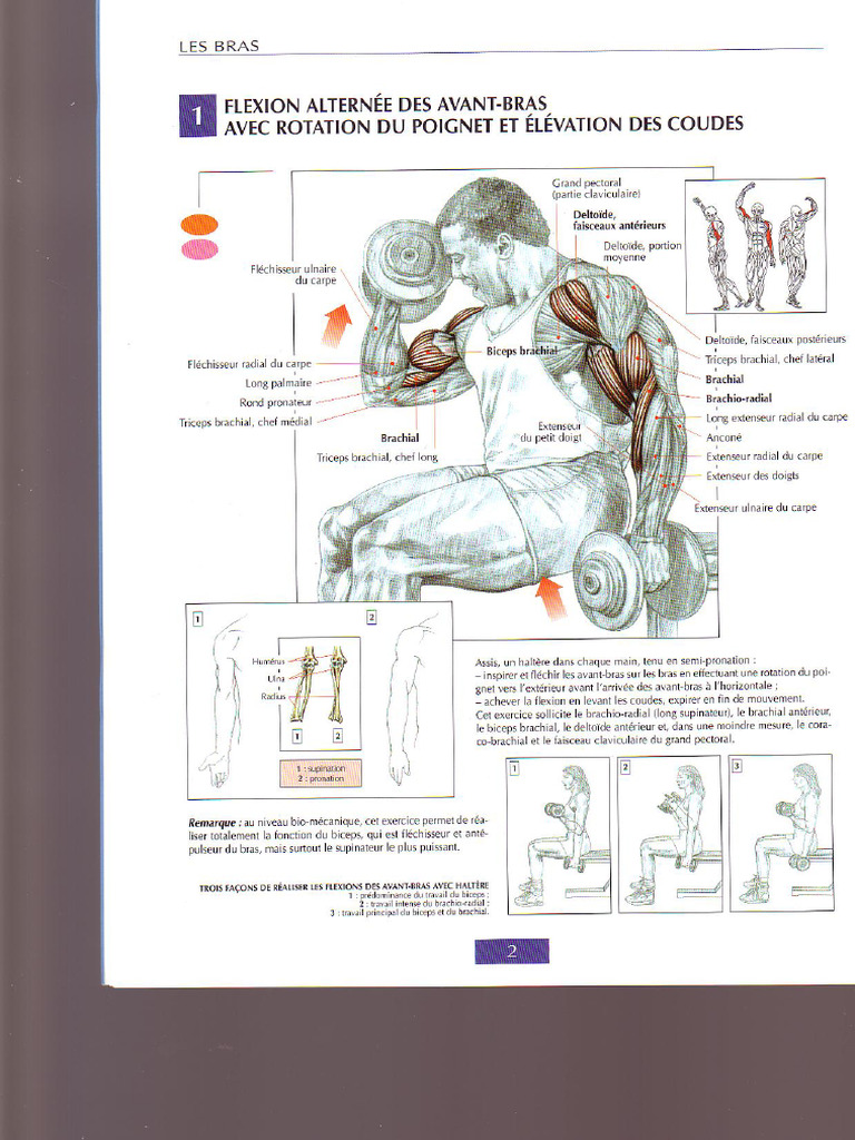 Musculation Guide | PDF