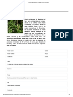 Cedrón - El Huerto de UrbanoEl Huerto de Urbano PDF