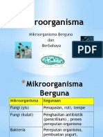 Mikroorganisma Berguna dan Berbahaya