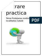 Lucrare Practica - Protectia Mediului in Localitatea Natala