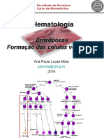 Aula 2 - Eritropoese