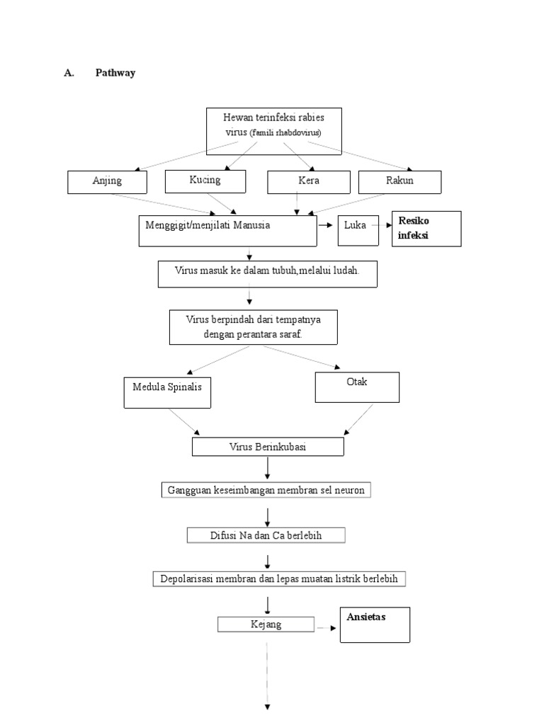 Pathway Rabies | PDF