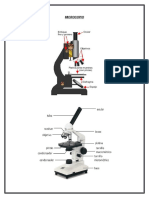 Partes de Un Microscopio