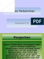 Proses Perkemihan