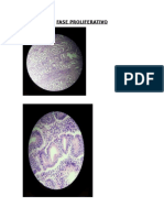 Fase Proliferativo