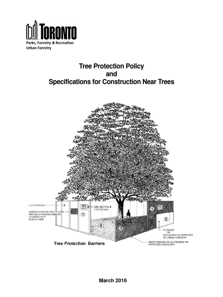 Toronto Tree Protection Guidelines | PDF | Pruning | Trees