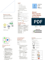 Atom Macromolecules Water Brochure