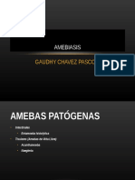 Amebiasis CORREGIDO (1)