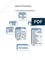 Audiencia de Presentación: Clasificación y Efectos de las Pruebas