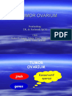 Tumor Ovarium