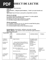 Proiect Didactic Educatie Muzicala