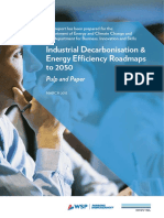 Industrial Decarbonisation & Energy Efficiency Roadmaps To 2050
