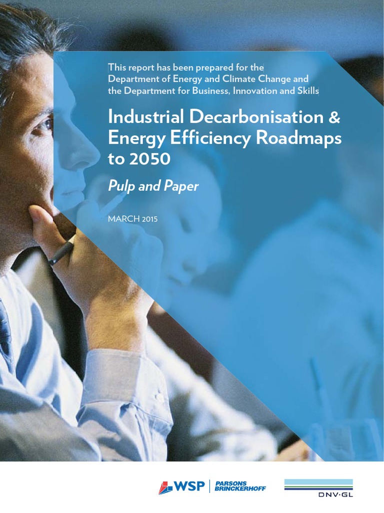 Industrial Decarbonisation & Energy Efficiency Roadmaps To 2050 | PDF ...