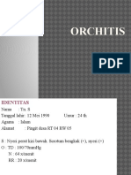 Presus Orchitis