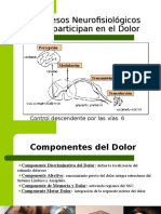 Vias Del Dolor 7126