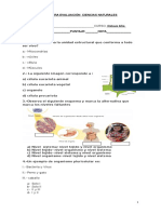 Prueba de Diagnòstico Ciencias Naturales