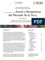 Mercado_Situacion_Actual_y_Perspectivas_MORA.pdf
