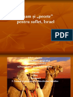 133557111-Israel (1) (1)