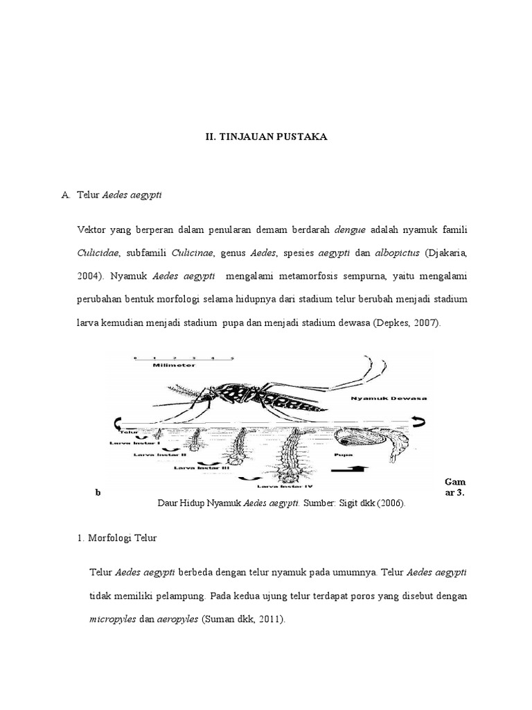 8 Bab II Super  Revised