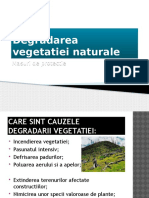 Degradarea Vegetatiei Naturale