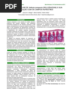 ANATOMIA FOLIAR DE Vellozia compacta (VELLOZIACEAE) E SUA RELAÇÃO COM OS CAMPOS RUPESTRES0144-id4589