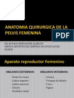Anatomia Quirurgica de La Pelvis Femenina