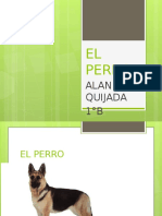 El Perro