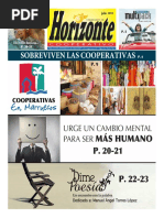 Horizonte Cooperativo Ed. 2013 07