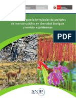 Lineamientos Para La Formulacion de PIP en DB y SE (1)