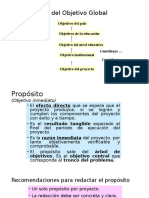 Dimensiones Del Objetivo Global