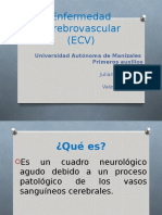 ECV Primeros Auxilios