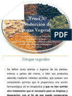 Producción de Drogas Vegetales