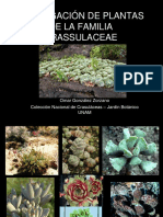 20 Propagacion de Plantas de La Familia Crassulaceae - Omar Gonzalez Zorzano PDF