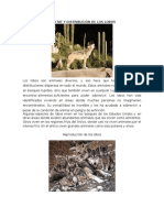 Hábitat y Distribución de Los Lobos