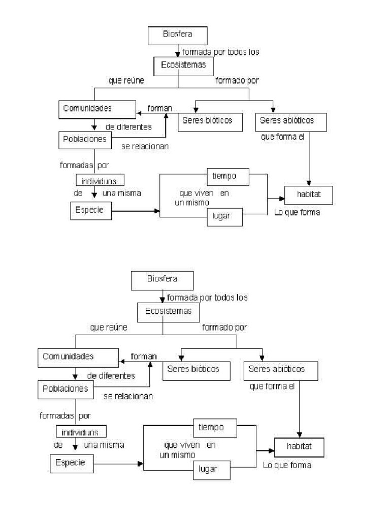 Mapa Conceptual Sobre Ecosistemas | PDF