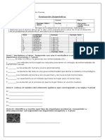 Diagnóstico Ciencias Naturales 8vo